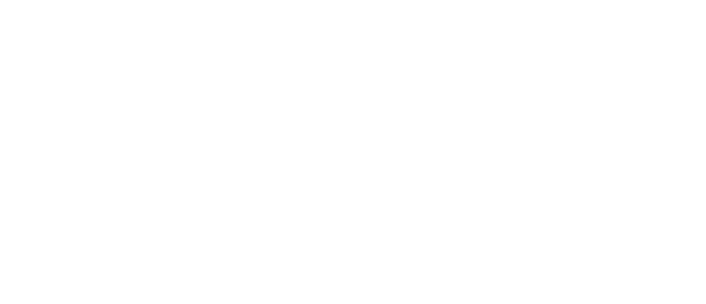 Logo - iPet